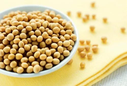 9月4日飼料原料價格 玉米再跌將有觸底可能 豆粕價格難有大漲